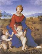 RAFFAELLO Sanzio The virgin mary  on the grass China oil painting reproduction